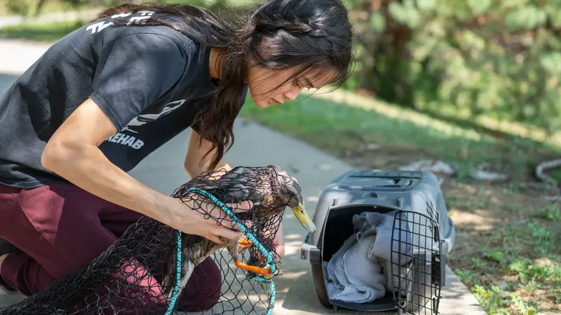 Exotic Animal Rehabilitation in Omaha NE